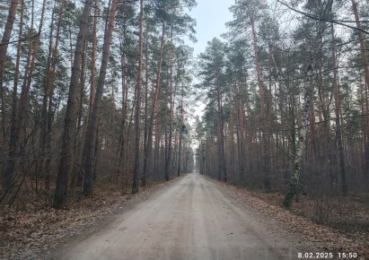 działka na sprzedaż - Oleszyce, Nowa Grobla