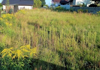 działka na sprzedaż - Tarnowskie Góry