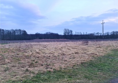 działka na sprzedaż - Godów, Skrzyszów