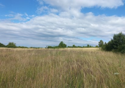 działka na sprzedaż - Bobrowniki, Myszkowice