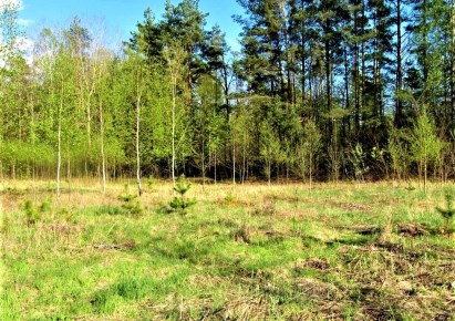 działka na sprzedaż - NIEWODNICA KOŚCIELNA, Niewodnica Kościelna