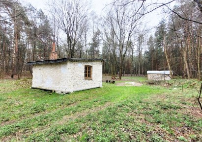 dom na sprzedaż - Kazimierz Dolny, Okale