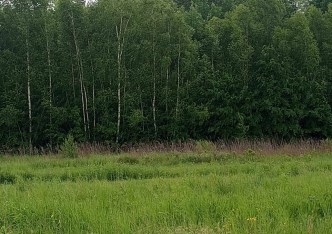 działka na sprzedaż - grodzisko dolne