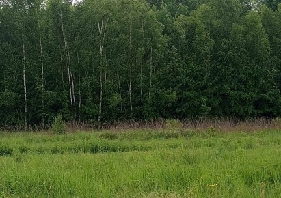 działka na sprzedaż - grodzisko dolne
