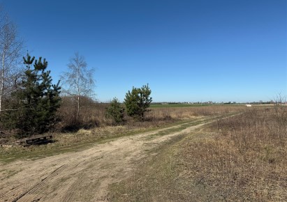 działka na sprzedaż - Wyszków, Nowe Rybienko