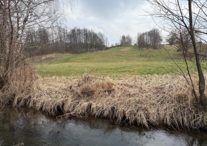 działka na sprzedaż - Skoczów (gw), Ochaby Małe