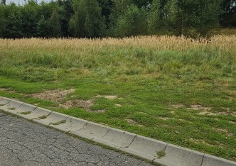 działka na sprzedaż - Rybnik, Boguszowice Stare