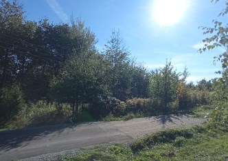 działka na sprzedaż - Wielopole Skrzyńskie, Brzeziny, Mały Dział