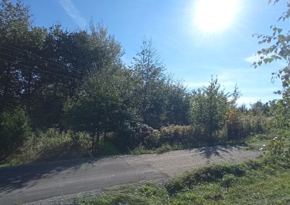 działka na sprzedaż - Wielopole Skrzyńskie, Brzeziny, Mały Dział