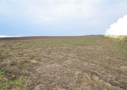 działka na sprzedaż - Piekary Śląskie, Kozłowa Góra