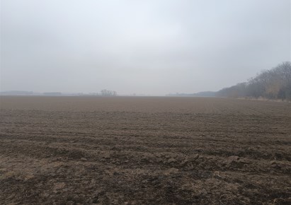 działka na sprzedaż - Kalników