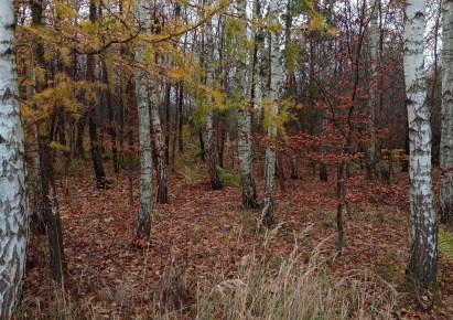 działka na sprzedaż - Żołynia, Smolarzyny