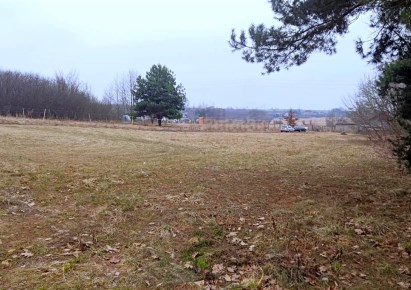 działka na sprzedaż - Mierzęcice, Toporowice