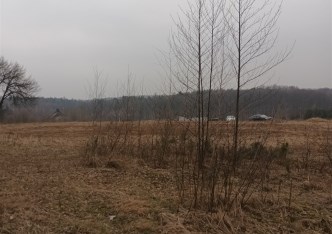 działka na sprzedaż - Rybnik, Popielów