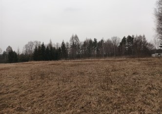 działka na sprzedaż - Rybnik, Popielów