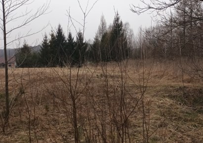 działka na sprzedaż - Rybnik, Popielów