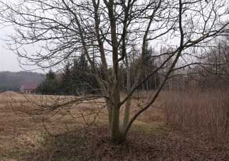 działka na sprzedaż - Rybnik, Popielów