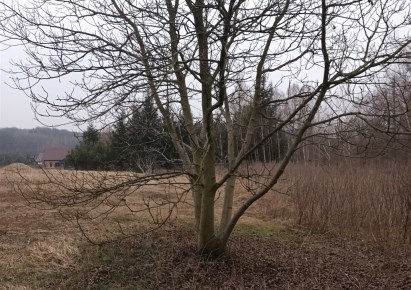 działka na sprzedaż - Rybnik, Popielów