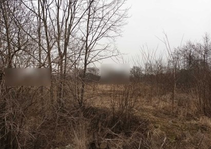 działka na sprzedaż - Żory, Baranowice
