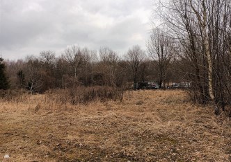 działka na sprzedaż - Żory, Baranowice