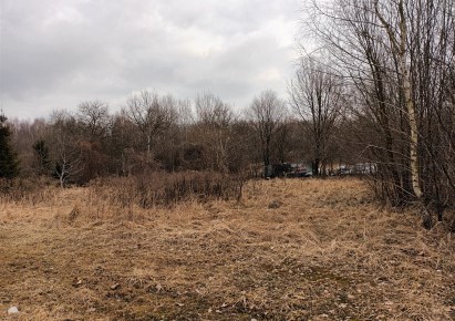 działka na sprzedaż - Żory, Baranowice