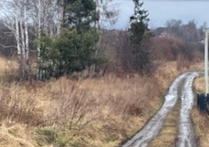 działka na sprzedaż - Rydułtowy