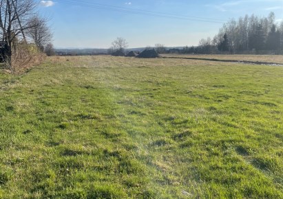 działka na sprzedaż - Godów, Gołkowice