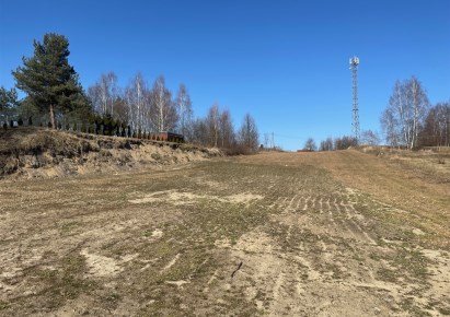 działka na sprzedaż - Godów, Skrzyszów