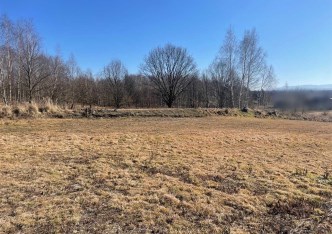 działka na sprzedaż - Godów, Skrzyszów