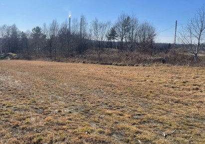 działka na sprzedaż - Godów, Skrzyszów