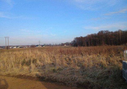 działka na sprzedaż - Żory, Baranowice