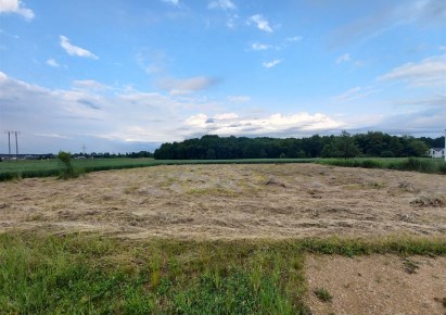 działka na sprzedaż - Żory, Baranowice