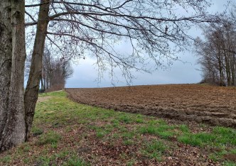 działka na sprzedaż - Pszczyna (gw), Studzionka
