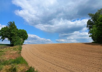 działka na sprzedaż - Pszczyna (gw), Studzionka