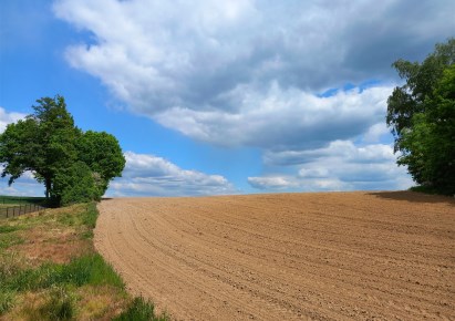 działka na sprzedaż - Pszczyna (gw), Studzionka