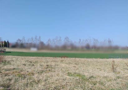 działka na sprzedaż - Mszana, Połomia