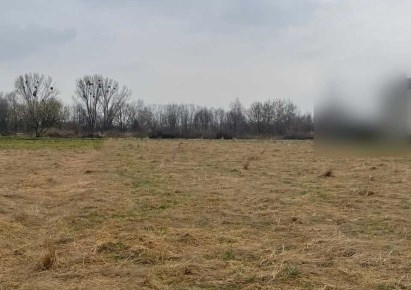 działka na sprzedaż - Gorzyce, Czyżowice