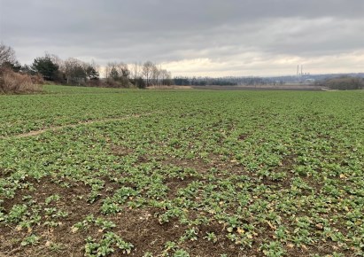 działka na sprzedaż - Gorzyce