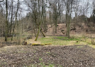 działka na sprzedaż - Wodzisław Śląski