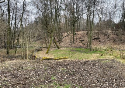 działka na sprzedaż - Wodzisław Śląski