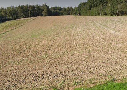 działka na sprzedaż - Mszana, Gogołowa