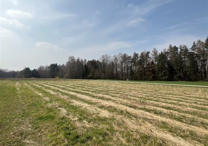 działka na sprzedaż - Zebrzydowice