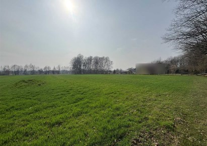 działka na sprzedaż - Pawłowice