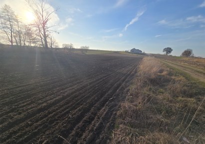 działka na sprzedaż - Gostynin (gw), Strzałki