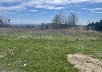 działka na sprzedaż - Gorzyce, Turza Śląska