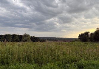 działka na sprzedaż - Gorzyce, Turza Śląska