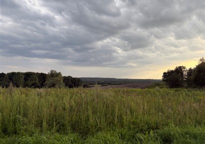 działka na sprzedaż - Gorzyce, Turza Śląska
