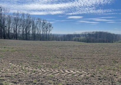 działka na sprzedaż - Gorzyce, Turza Śląska