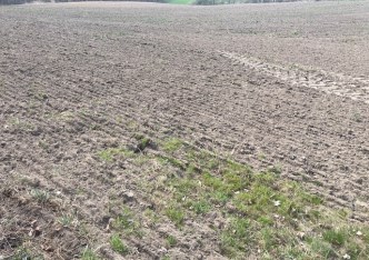 działka na sprzedaż - Gorzyce, Turza Śląska