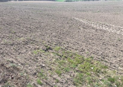 działka na sprzedaż - Gorzyce, Turza Śląska